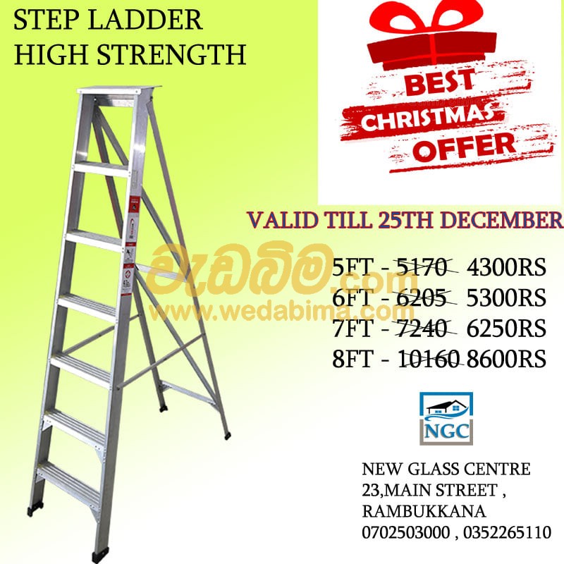 Cover image for STEP LADDER