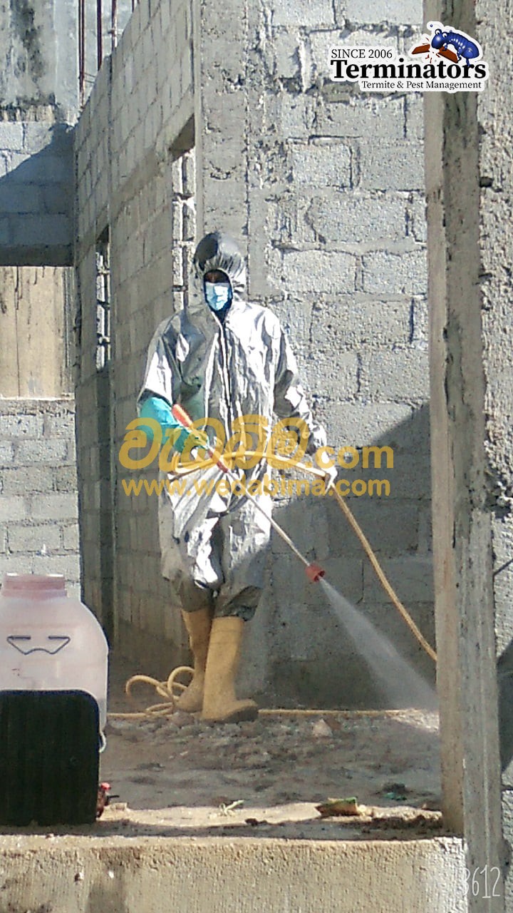 Termite treatment solutions in sri lanka