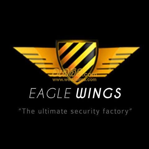 Cover image for EAGLE WINGS