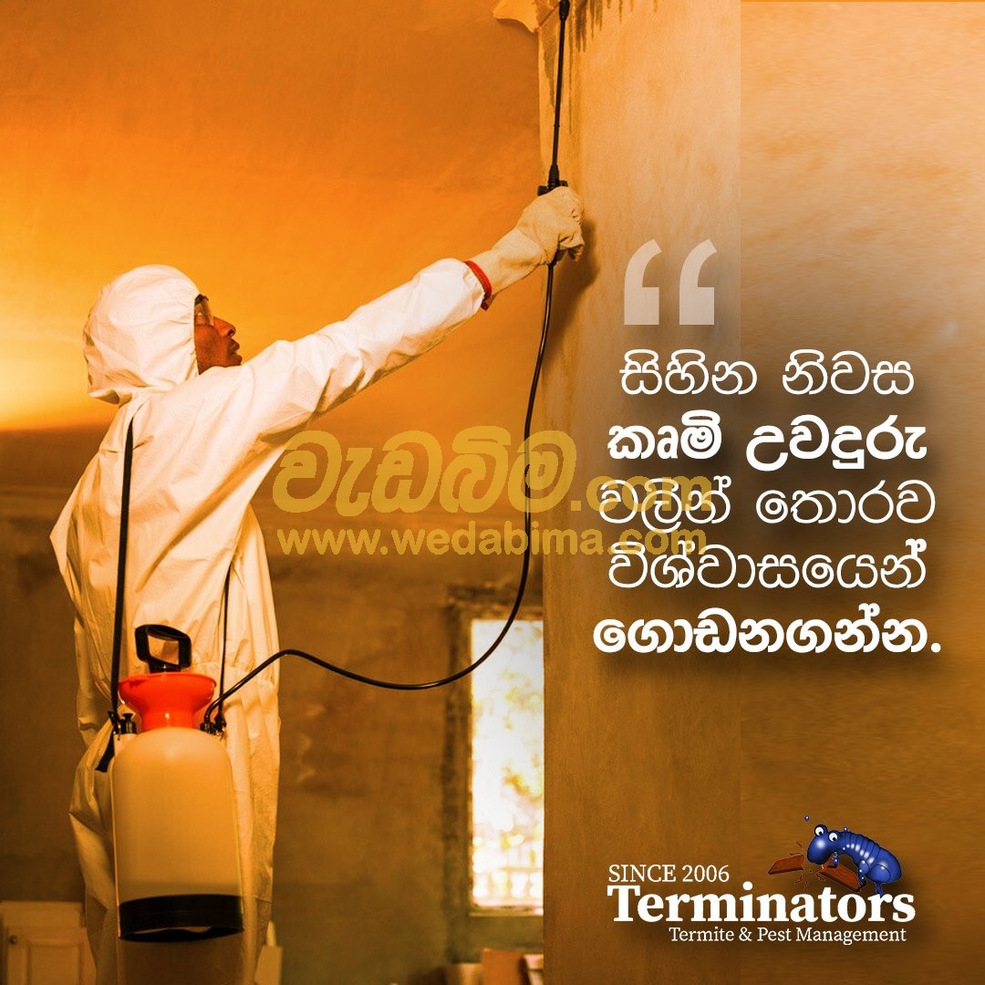 Cover image for pest control service price in ampara