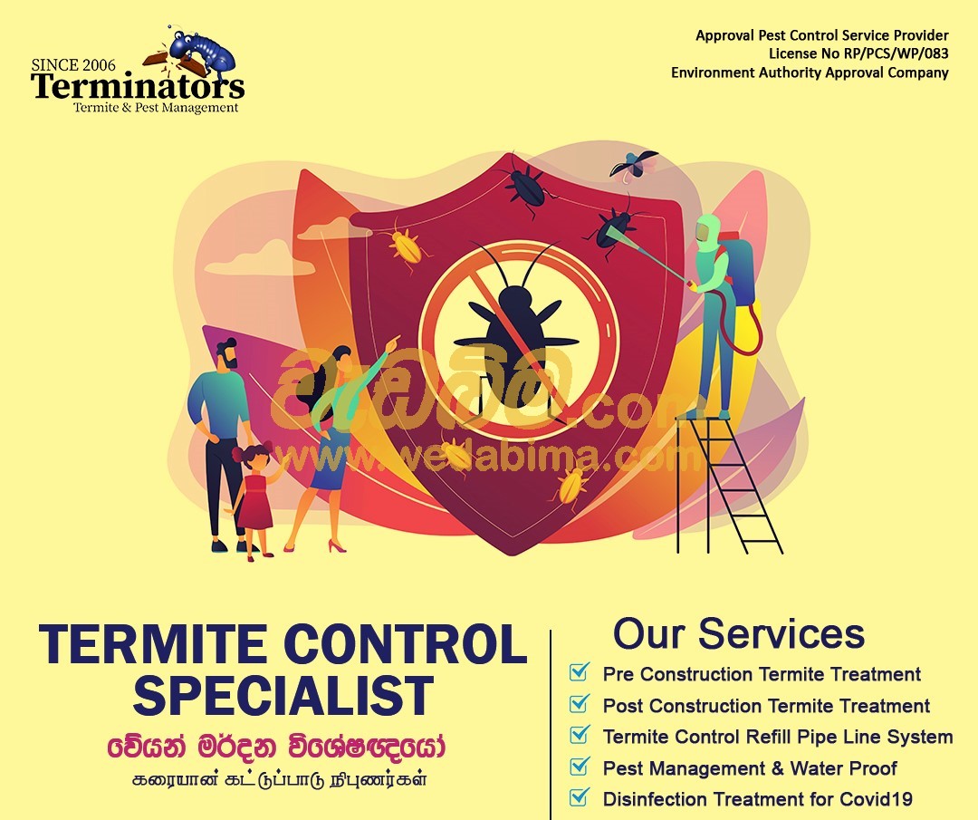 Cover image for Termite treatment - batticalo