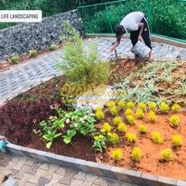 Cover image for Landscape and Garden designers Sri Lanka