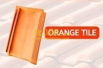 Cover image for Orange Tile