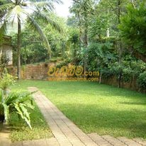 Landscape Contractors in Colombo
