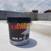 Cover image for Waterproofing Products In Srilanka