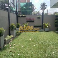 Cover image for landscaping for small gardens in sri lanka