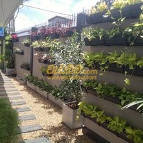 landscaping contractors in Colombo