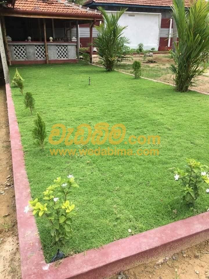 low budget simple home garden design in sri lanka