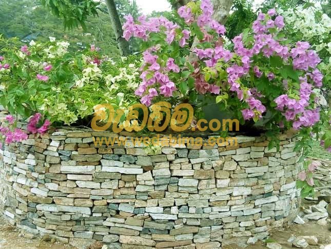 Cover image for Garden decorate work in katuwana