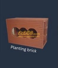 Cover image for Planting Brick