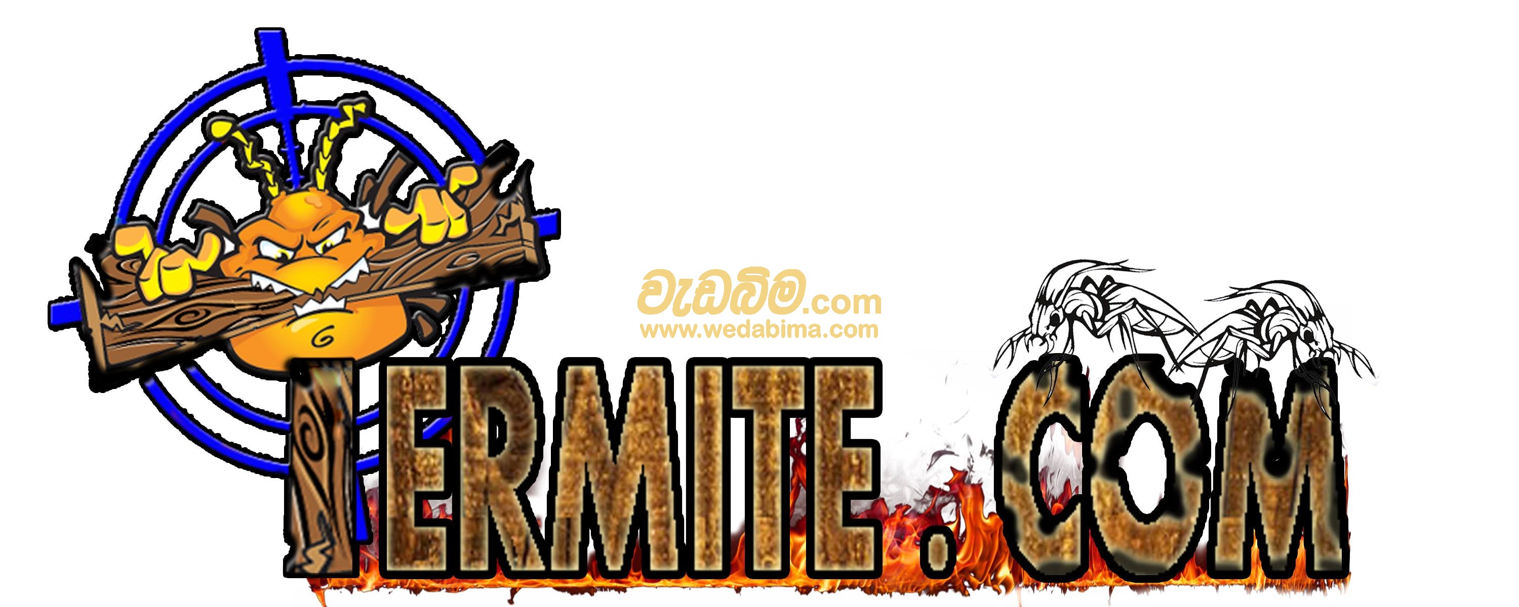 Cover image for Termite.com (pvt) ltd