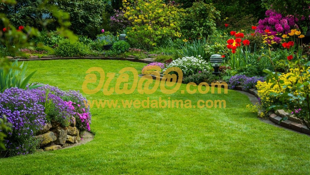 Cover image for Landscaping companies in sri lanka