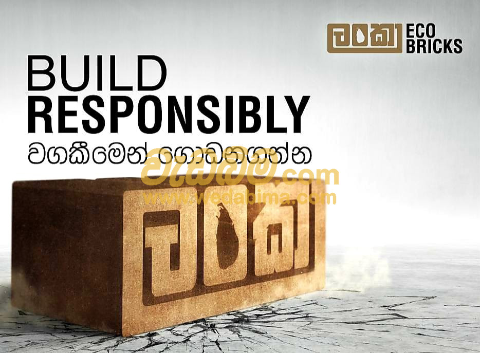 Cover image for Lanka Eco Bricks