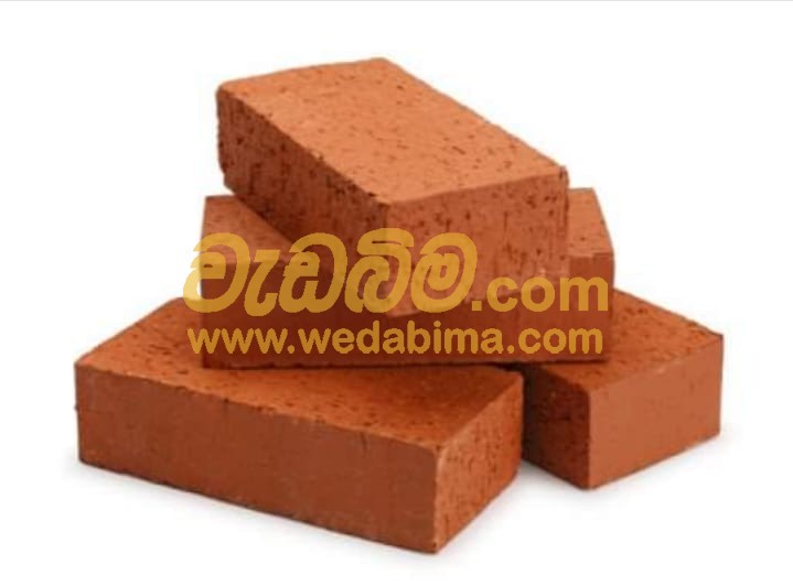 Cover image for Bricks in Sri Lanka