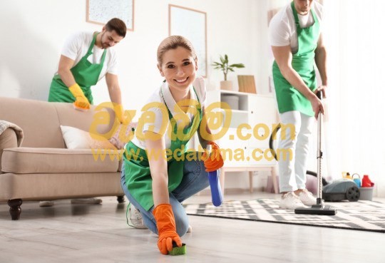 Cover image for Residential Cleaning