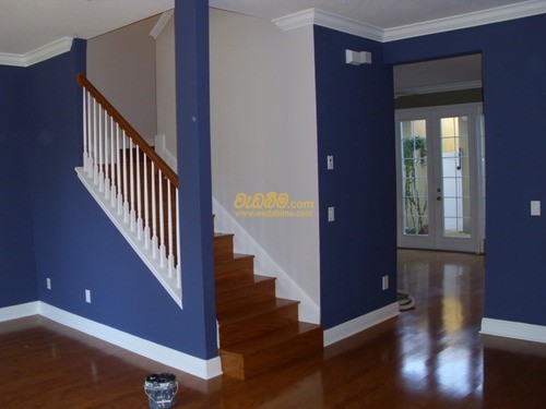 Cover image for Floor Paints
