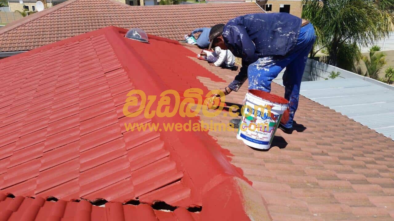 Cover image for Roof painting Work
