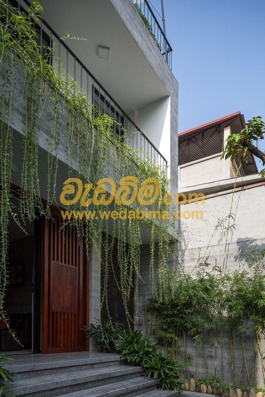 Cover image for Curtain Creeper for Balcony - Kurunegala