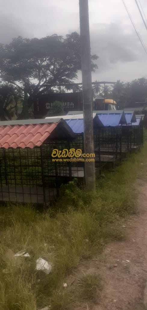 Steel Cages Sri Lanka