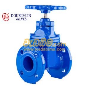 Cover image for Gate Valve PN – 16 Cast Iron