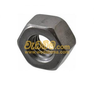 Cover image for Hex Nut Mild Steel