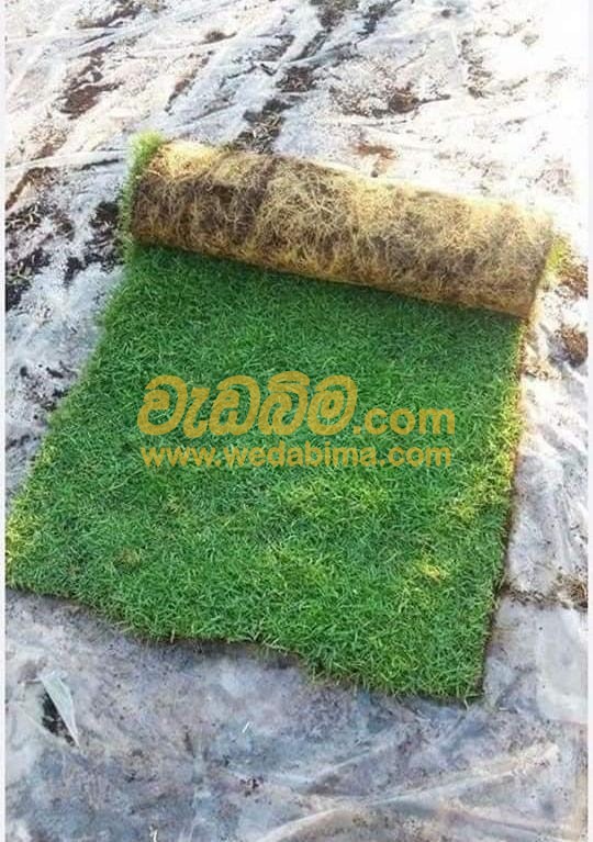 Cover image for Grass Suppliers