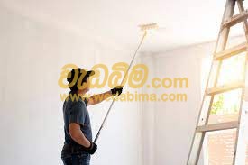 House & Building Painting Contractor