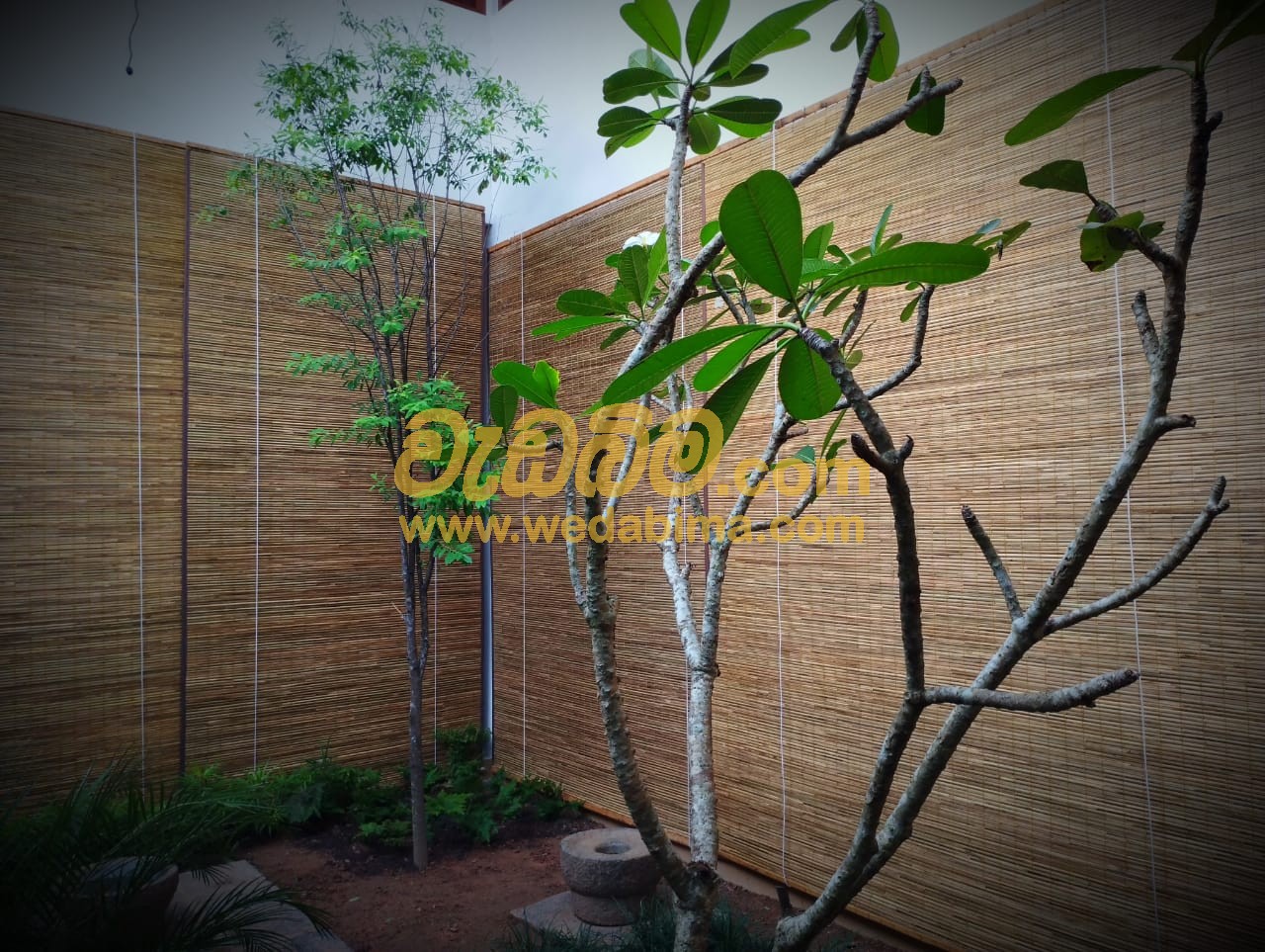 Cover image for Bamboo Blinds