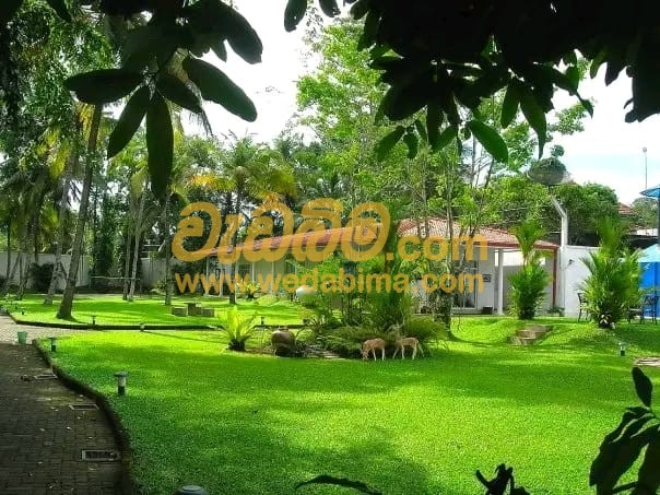 Landscape Contractors in Sri Lanka