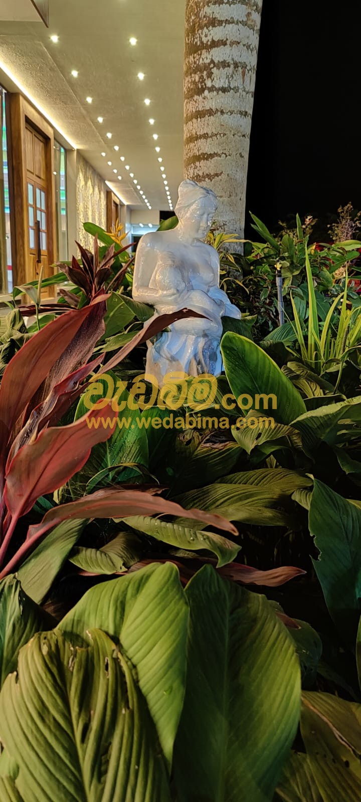 Cover image for Ornamental Plants in Garden