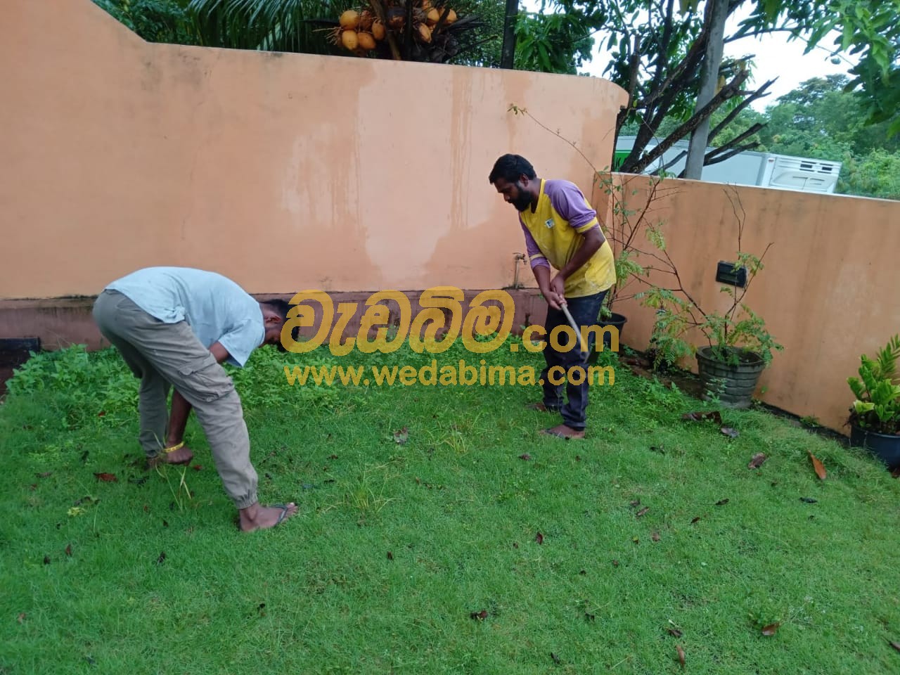 Cover image for Landscaping In Srilanka