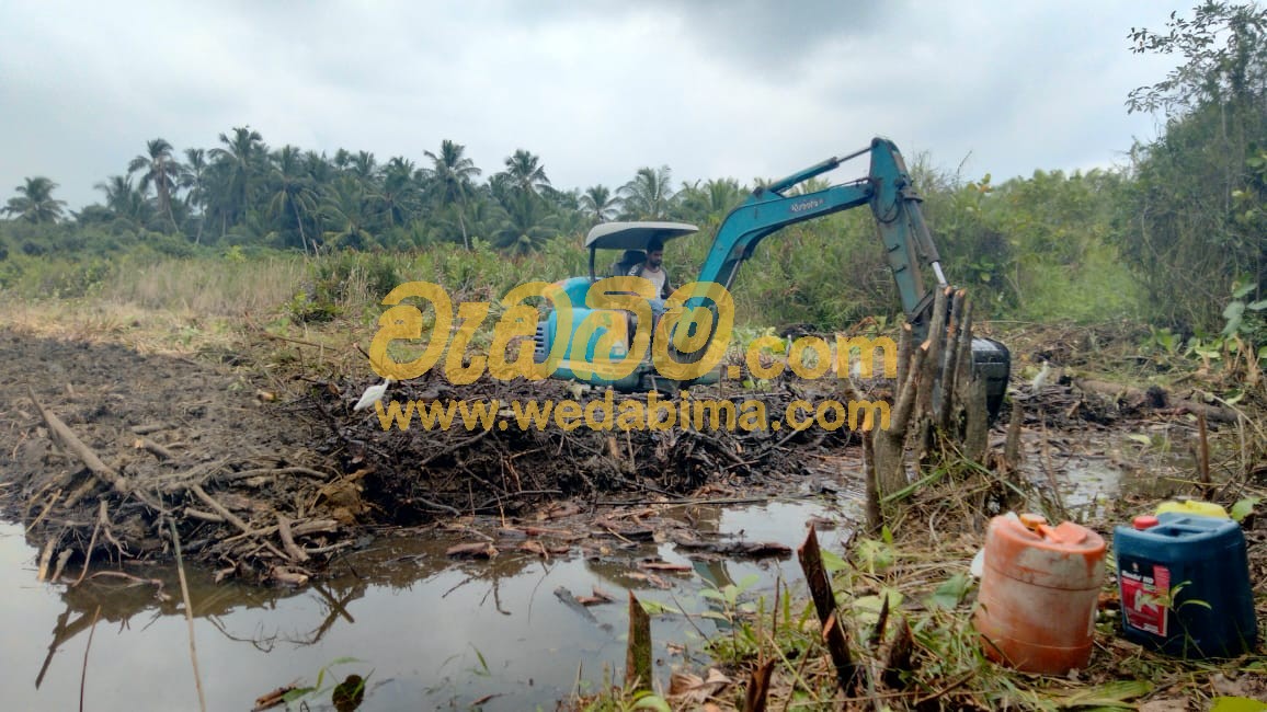 Cover image for excavator for rent in horana