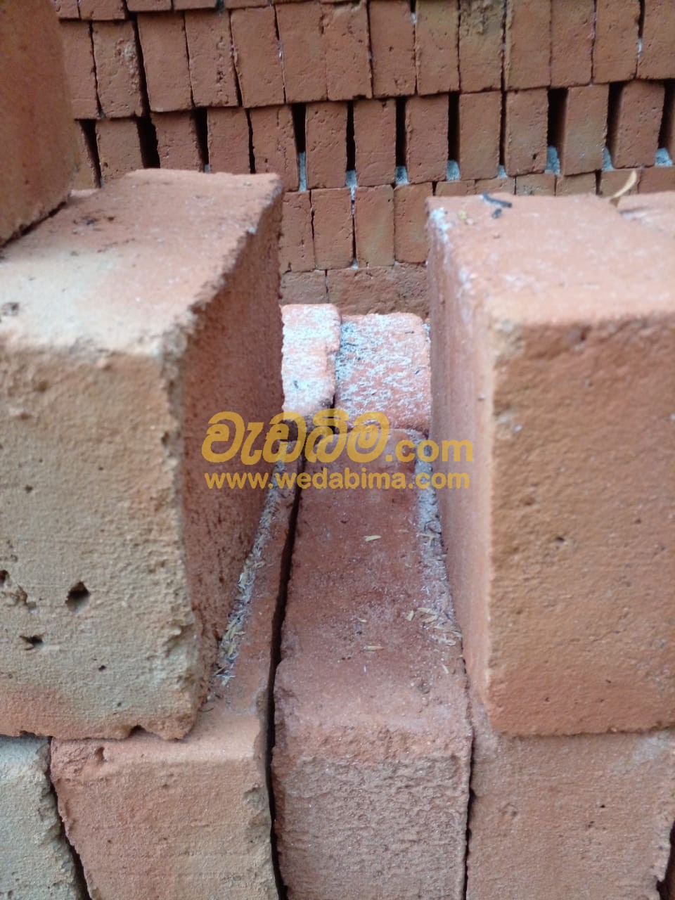 Cover image for Engineering Bricks in Sri Lanka