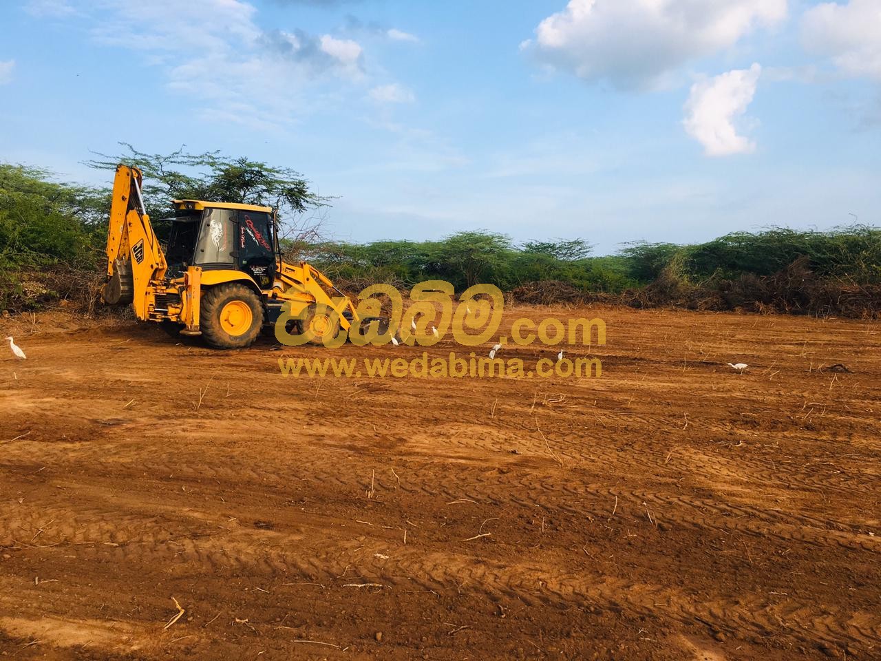 Cover image for JCB In Gampaha