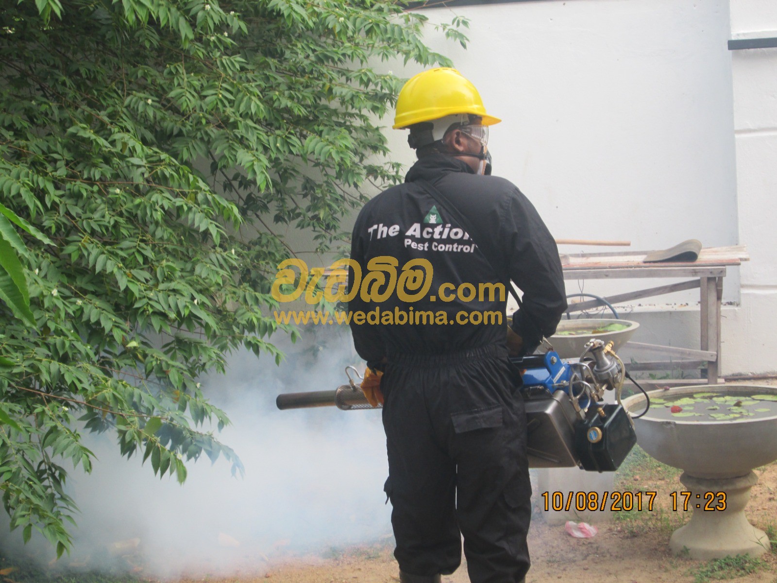 Cover image for termite treatment - colombo