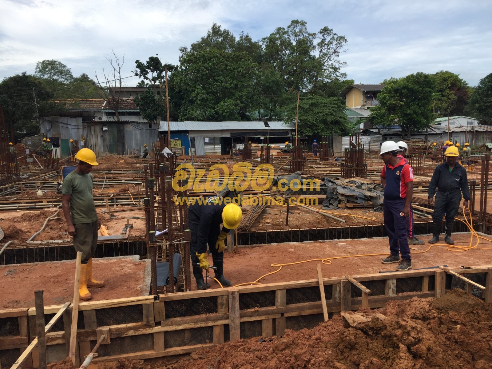 anti termite treatment contractors in sri lanka