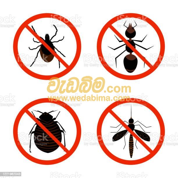 Cover image for pest control contractors in srilanka