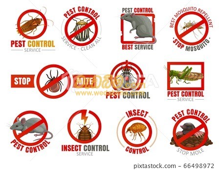 Pest control services kandy