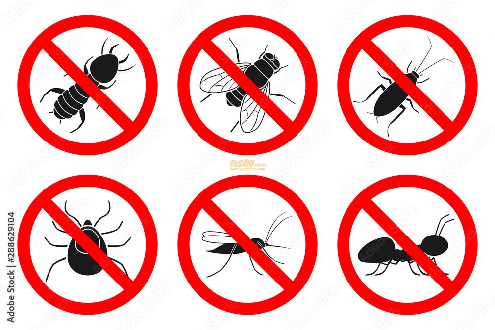 anti termite treatment chemicals suppliers in sri lanka