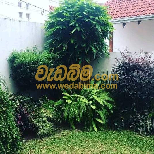 landscaping price in sri lanka