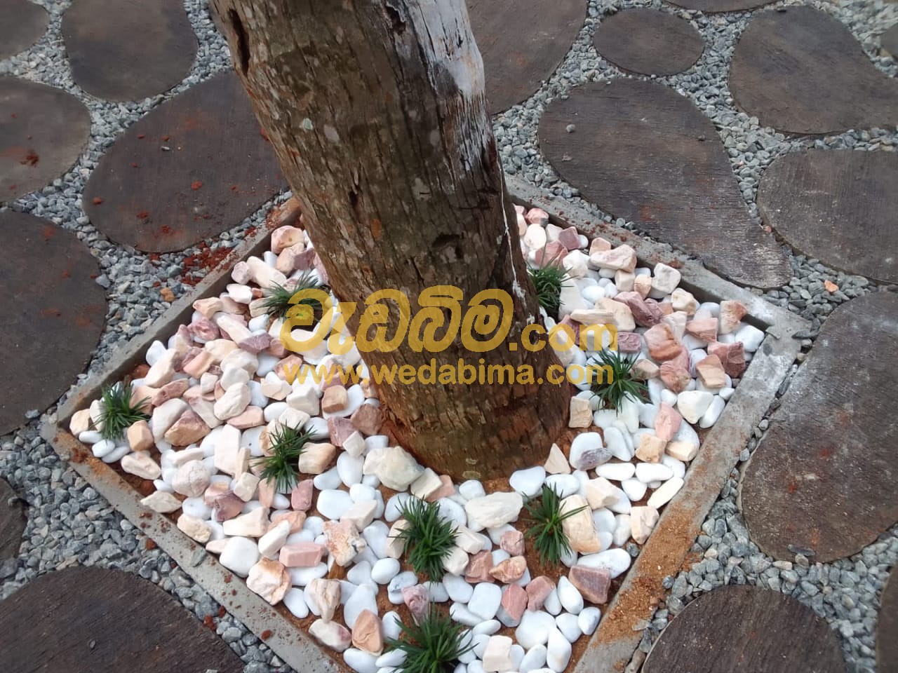 Cover image for landscaping contractors in anuradhapura