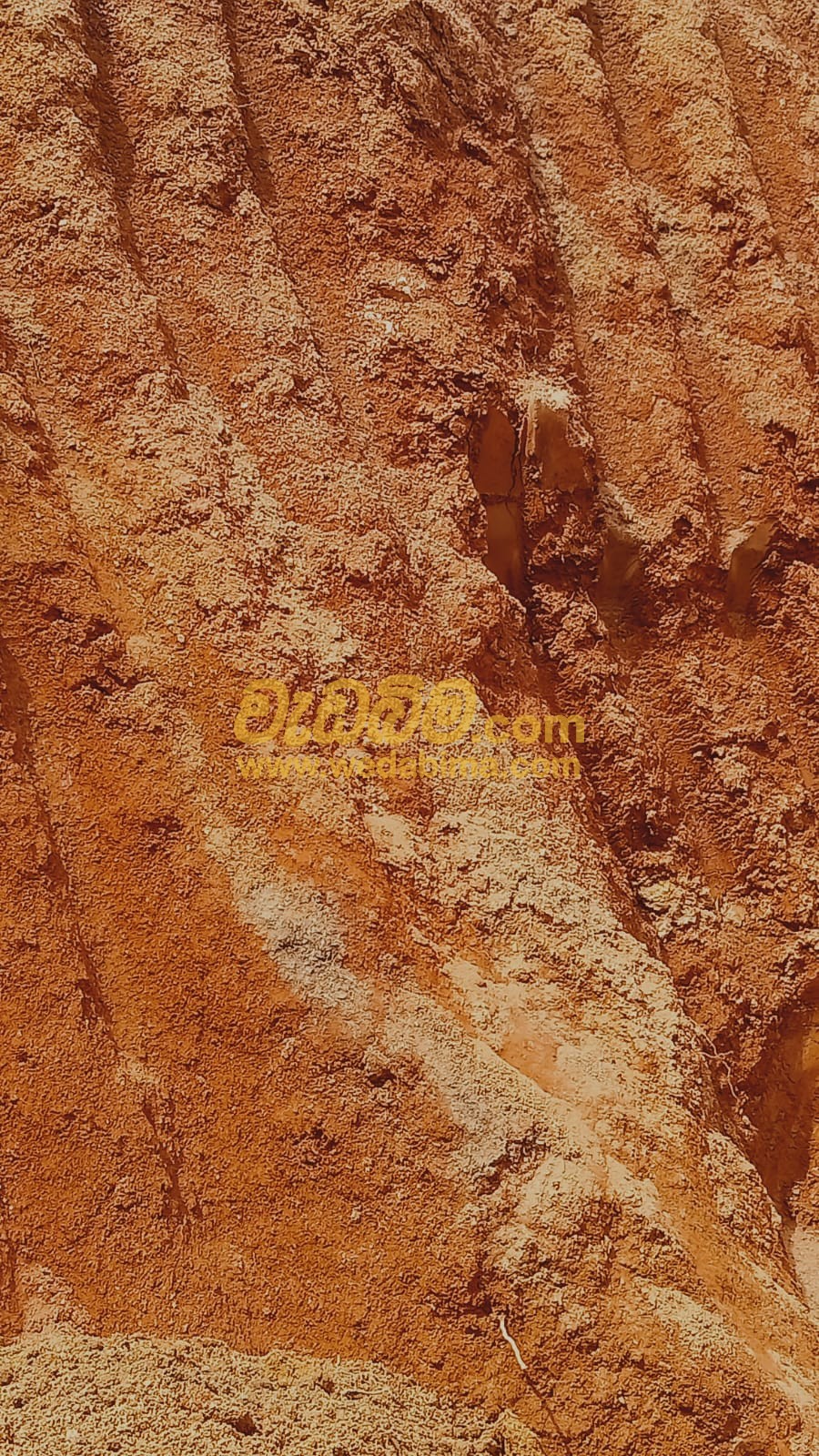 Cover image for Red Soil Price in Kaduwela