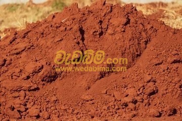 Red Soil Price in Sri Lanka