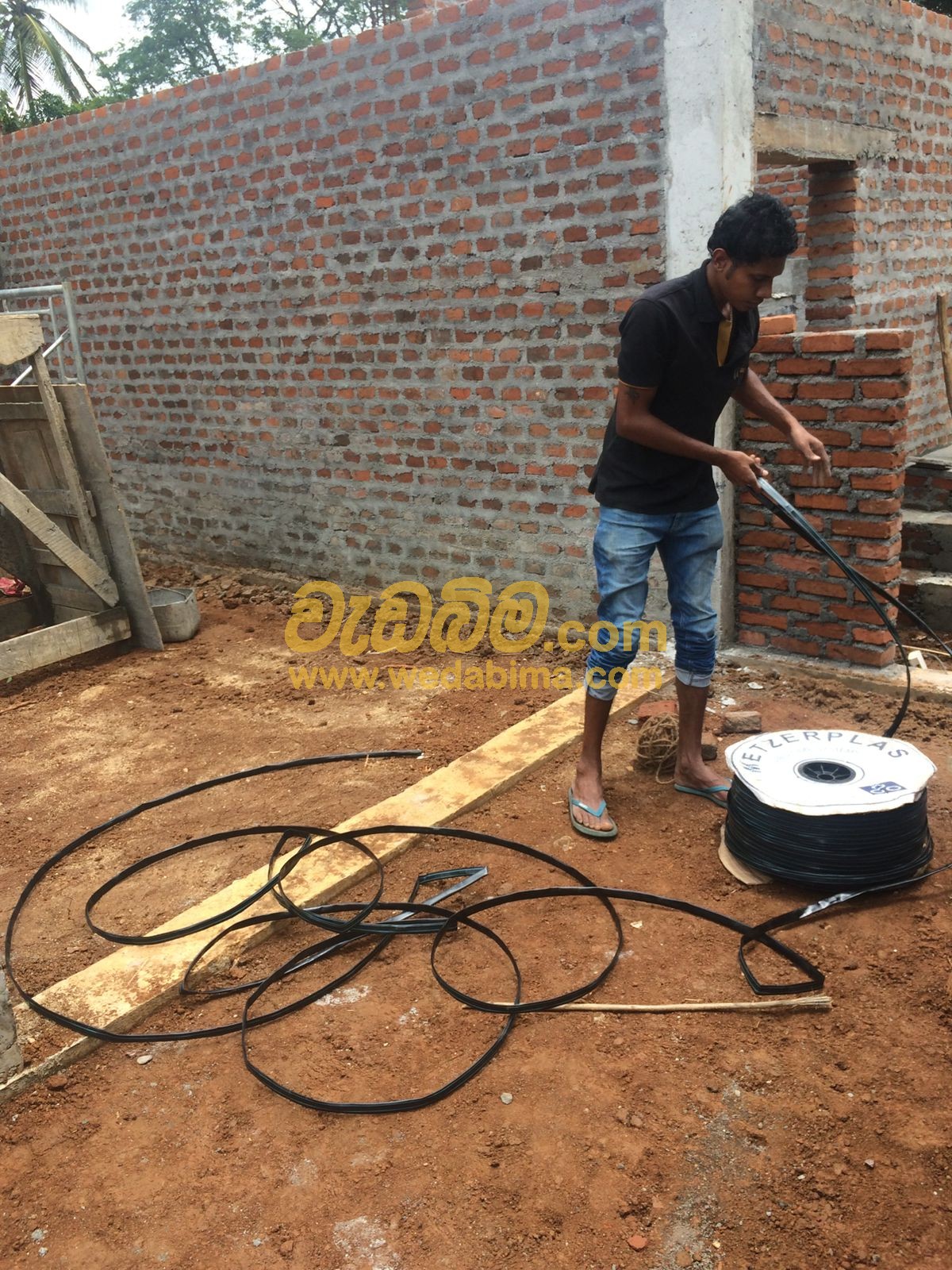 Cover image for Termite treatment Jaffna