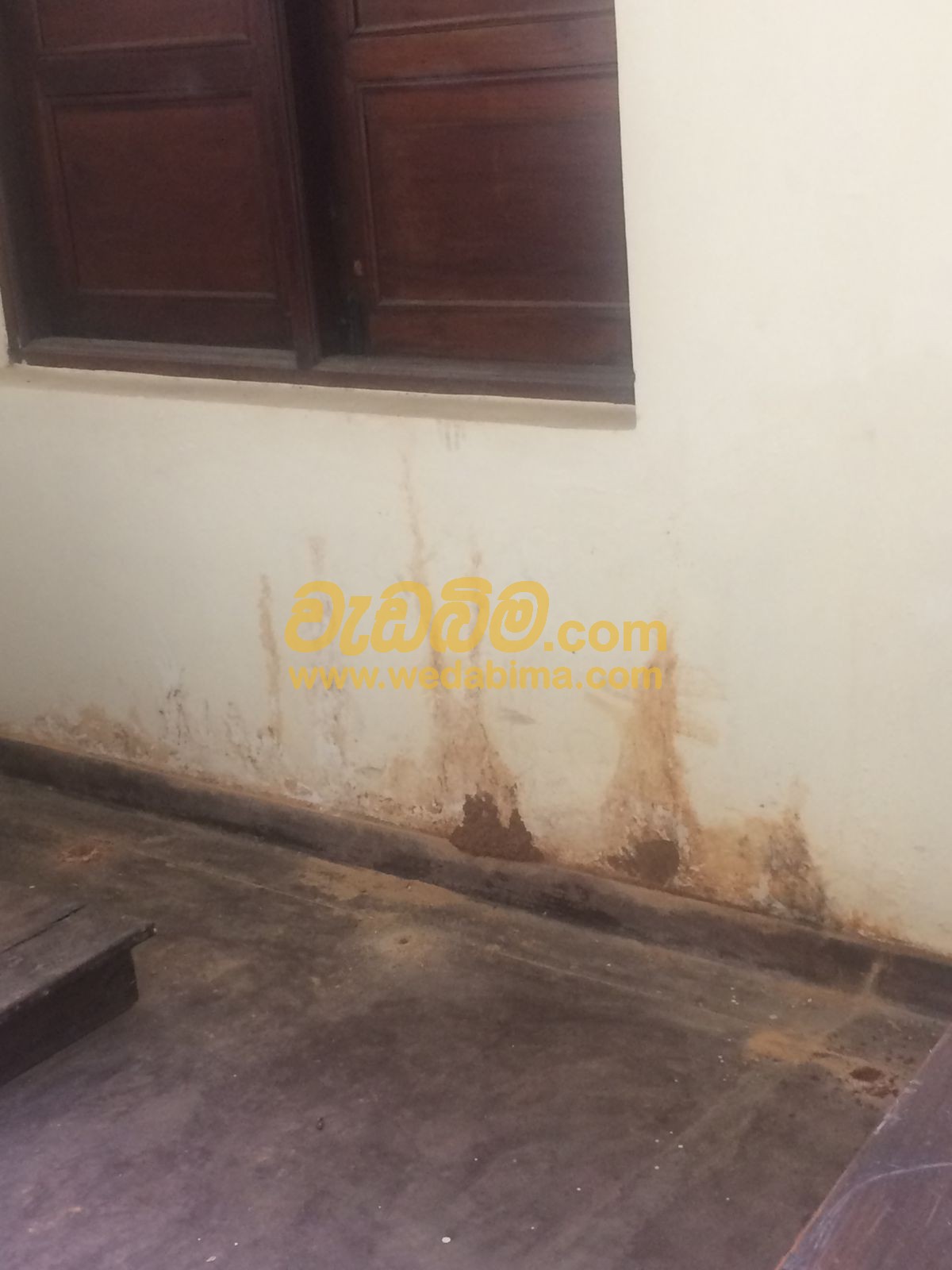 termite treatment in sri lanka
