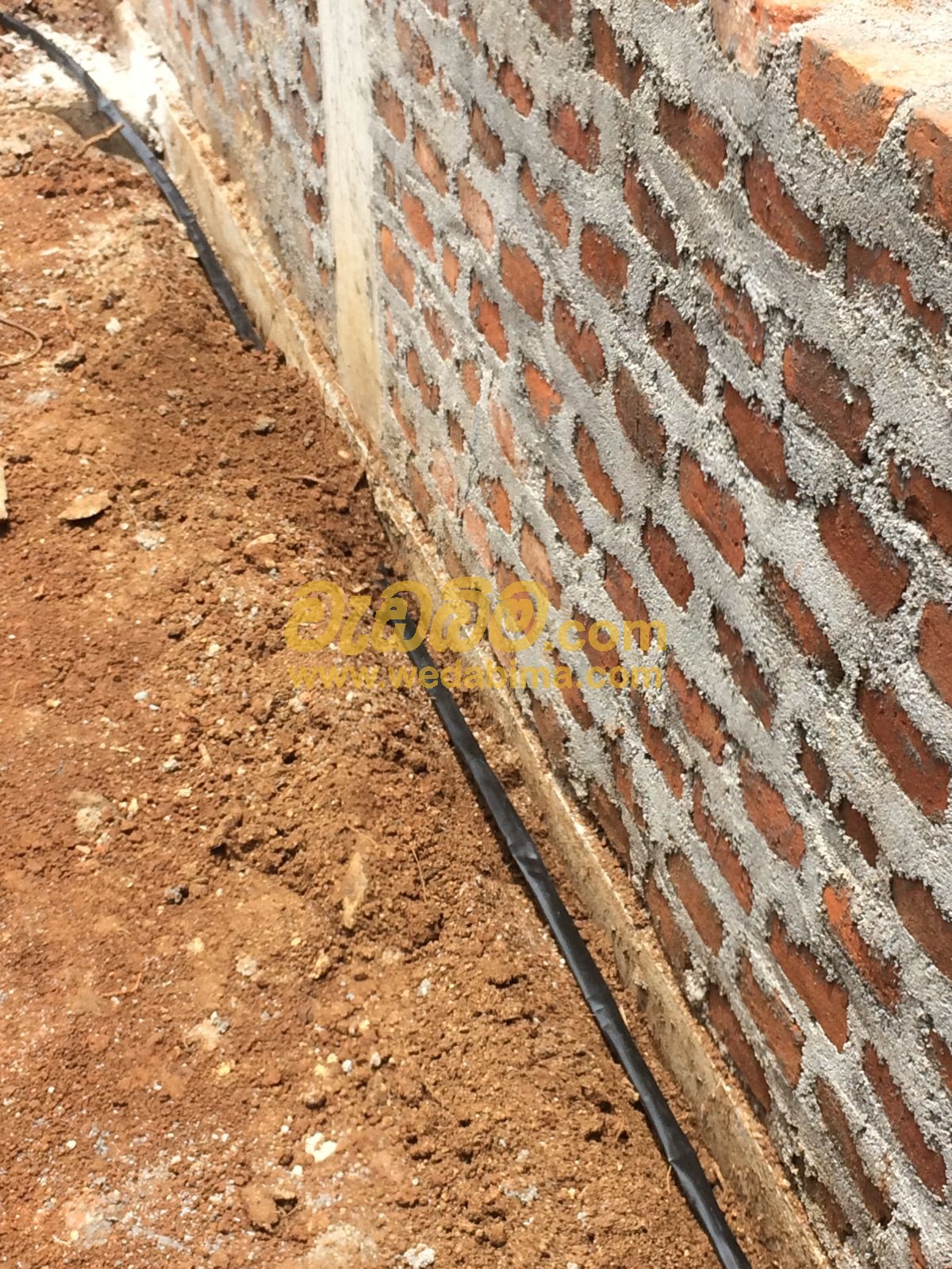 termite treatment contractors in sri lanka