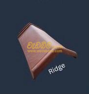 Cover image for Ridge Tile