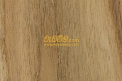 Albesiya wood price in srilanka