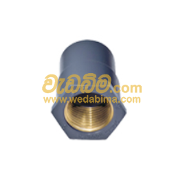 Cover image for Brass Faucet Socket