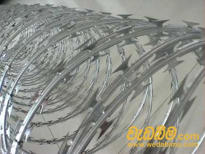 Cover image for Concertina Barbed Wire